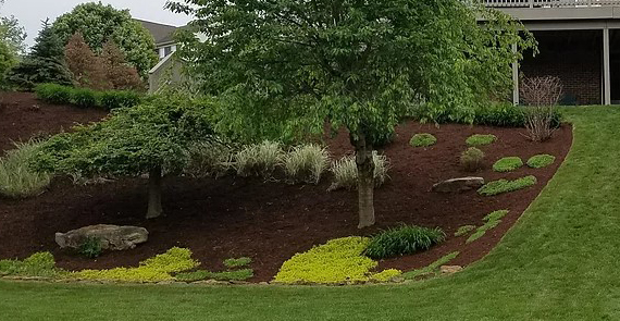 Landscape Gallery, Countryside Maintenance Lawn & Landscape